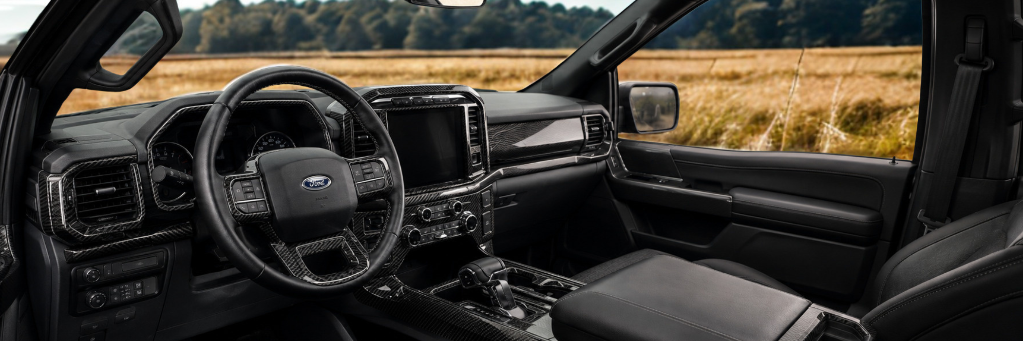 For Ford F-150